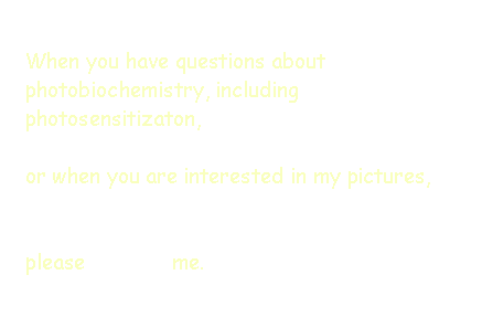 Text Box: When you have questions about photobiochemistry, including photosensitizaton,or when you are interested in my pictures,  please              me.
